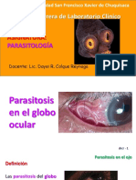 02 Parasitología - Ojo