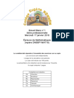 Brevet Blanc 1 PALICOUR