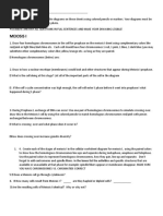 Meiosis Diagrams Worksheet