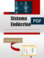 Sistema endocrino: hormonas y glándulas