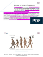 TEXTOS CIENTÍFICOS Teorías de La Evolución Humana