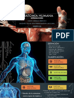 Anatomía Humana CLASE I