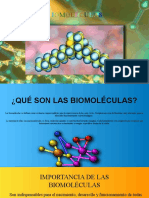 Biomoleculas 