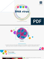 7 DNA Virus