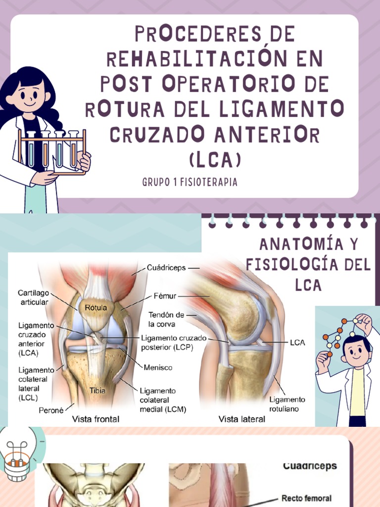 Procederes de Rehabilitación en Post Operatorio de Rotura Del Ligamento ...
