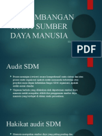 Perkembangan Audit Sumber Daya Manusia