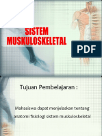 Muskuloskeletal