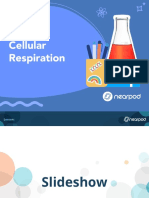 Cellular Respiration 9-12