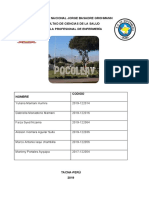 Informe de Ecologia-Distrito de Pocollay