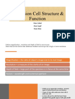 Presentation Cell Struct