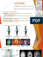 BODY PLANES and SECTIONS