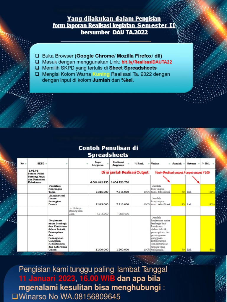 Panduan Pengisian Laporan DAU TA 2022 | PDF