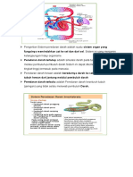 Evan Peredaran Darah