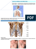 Semiologia Do Sistema Respiratório