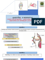 Questões Com Respostas Aparelho Locomotor Junho 2022