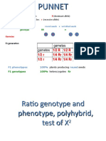 Probability, Ratio of Genotype & Phenotype, Chi Square