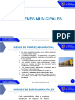 Bienes y rentas municipales