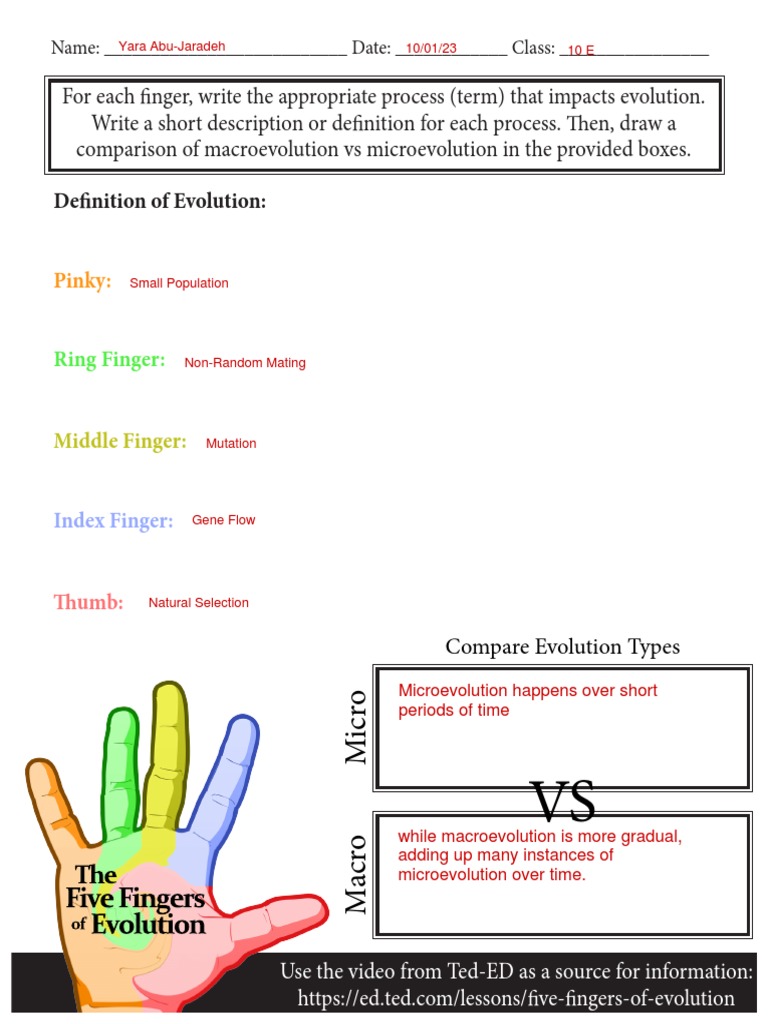 Fingers of Evolution Sheet 2023 PDF Evolution Natural Selection