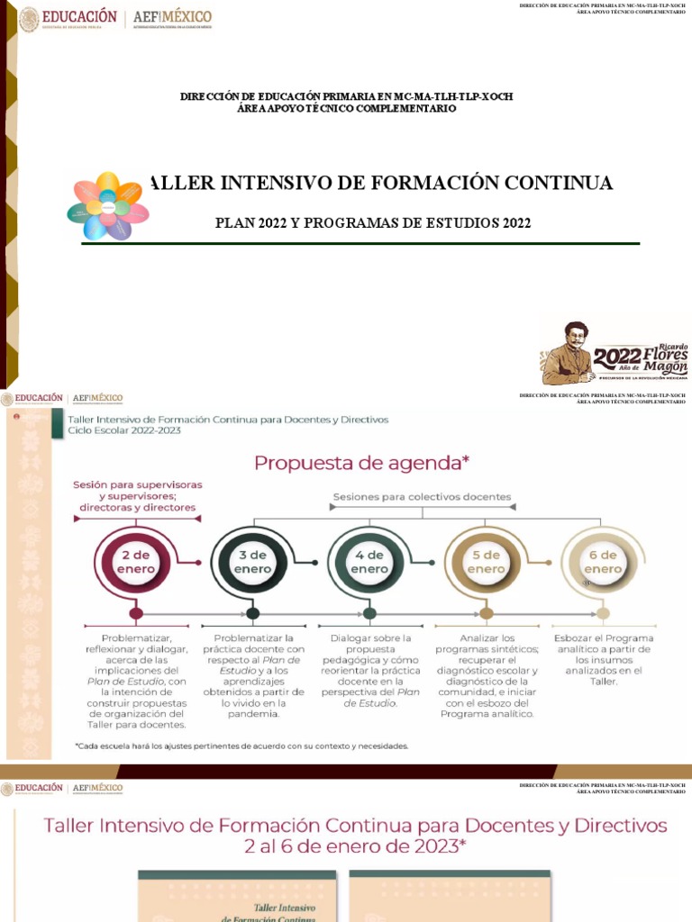 D4 Taller Intensivo de Formación. Enero PDF Educación primaria Plan de estudios