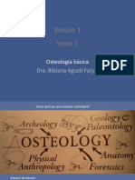 Tema 1.1 Osteología Básica - Slides
