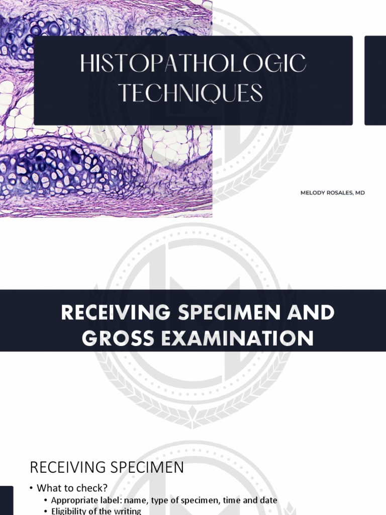 Histopathologic Technique 1 PDF Fixation (Histology) Knife