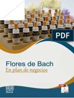 12 - Flores de Bach en Plan de Negocios