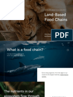 Minimalist Photocentric Food Chain Science Talking Presentation