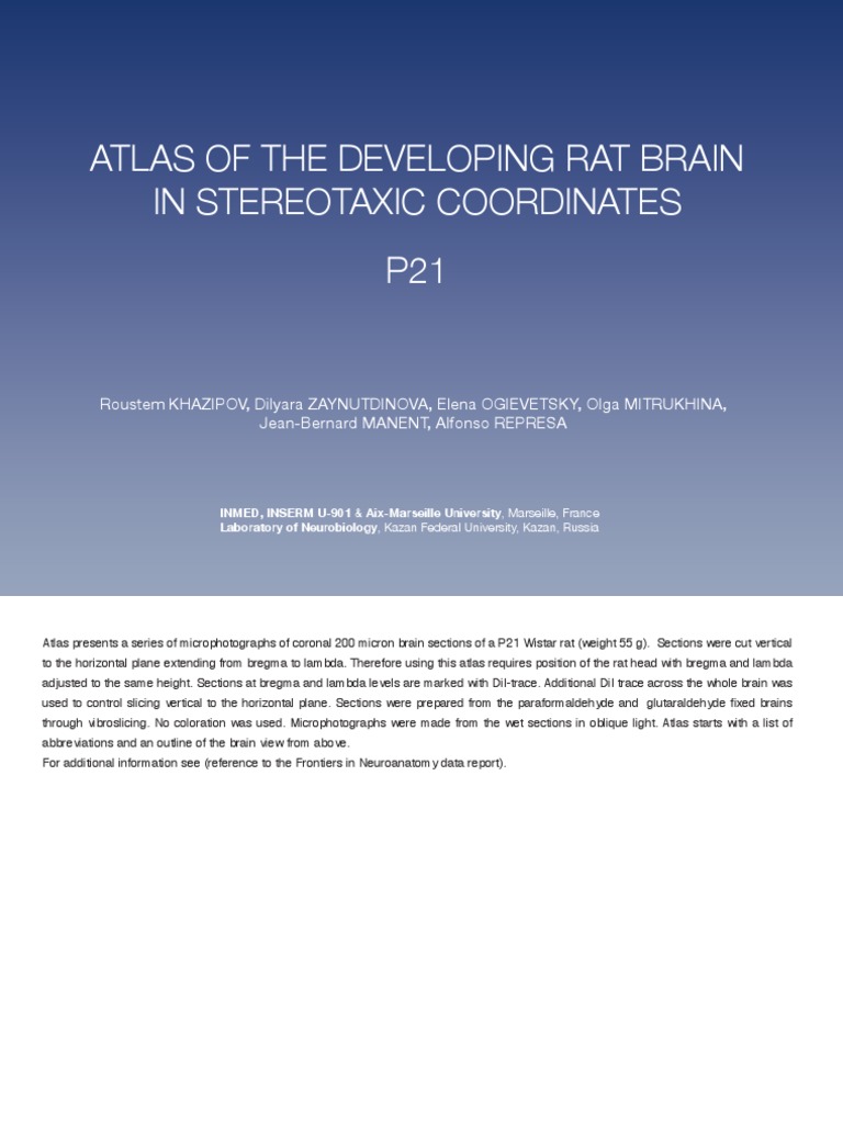 An Atlas of Coronal Sections of the Developing Rat Brain at Postnatal ... 
