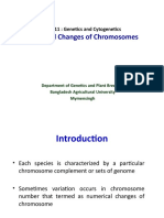 Ch13 Numerical Changes of Chromosomes-New