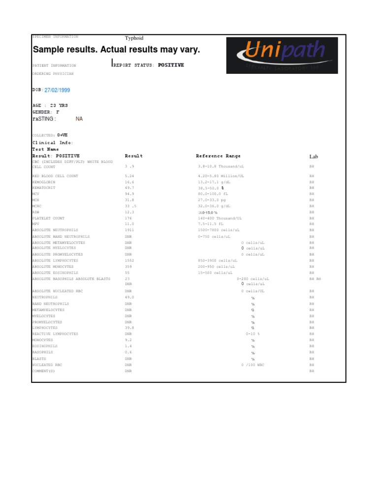 Lab Report | PDF