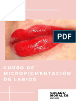 Dosier Curso Micropigmentacion de Labios
