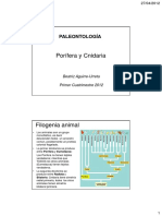 02 Porifera y Cnidaria Paleo 2012