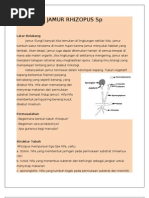 Download JAMUR RHIZOPUS Sp by dyahcitta SN61912119 doc pdf