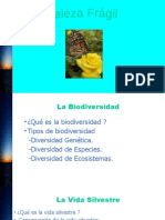 Practica 3 de Power Point