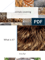Animal coverings - what fur, feathers, scales and skin are