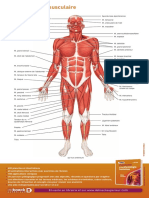 Affiche-Anatomie-275x450 HD Tortora3
