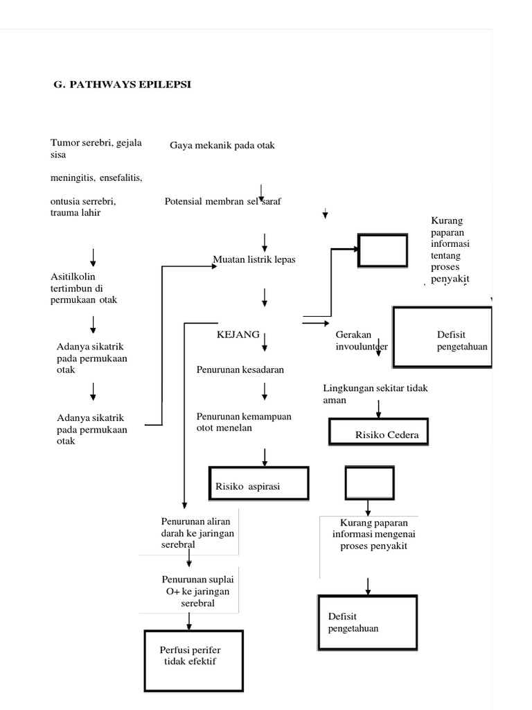 pathway-epilepsi-pdf