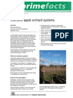 Articol Stiintific 2 - Intensive Apple Orchard Systems