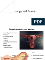 Aparatul Genital Feminin