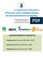 AULA:  Plastocrono, Auxocrono , Filocrono e Antocrono como unidades básicas do desenvolvimento em plantas 