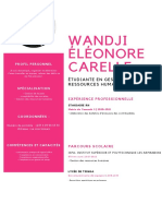 CV Wandji Carelle