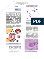 Toxoplasma Gondii