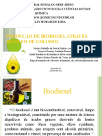 Produção de Biodiesel Através Do Óleo de Girassol 2