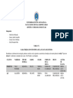 Tarea N2