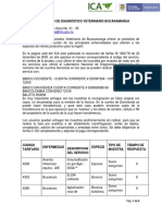 Portafolio de Servicios - LDV Bucaramanga