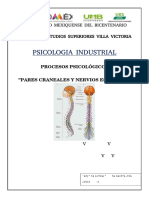 Pares Craneales y Nervios Espinales