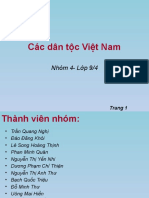 Các dân tộc Việt Nam