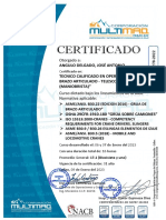 Certificado #8278-22 Grua Articulada - Jose Angulo