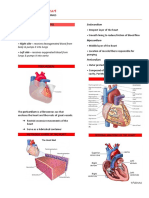 Structure of The Heart Transes