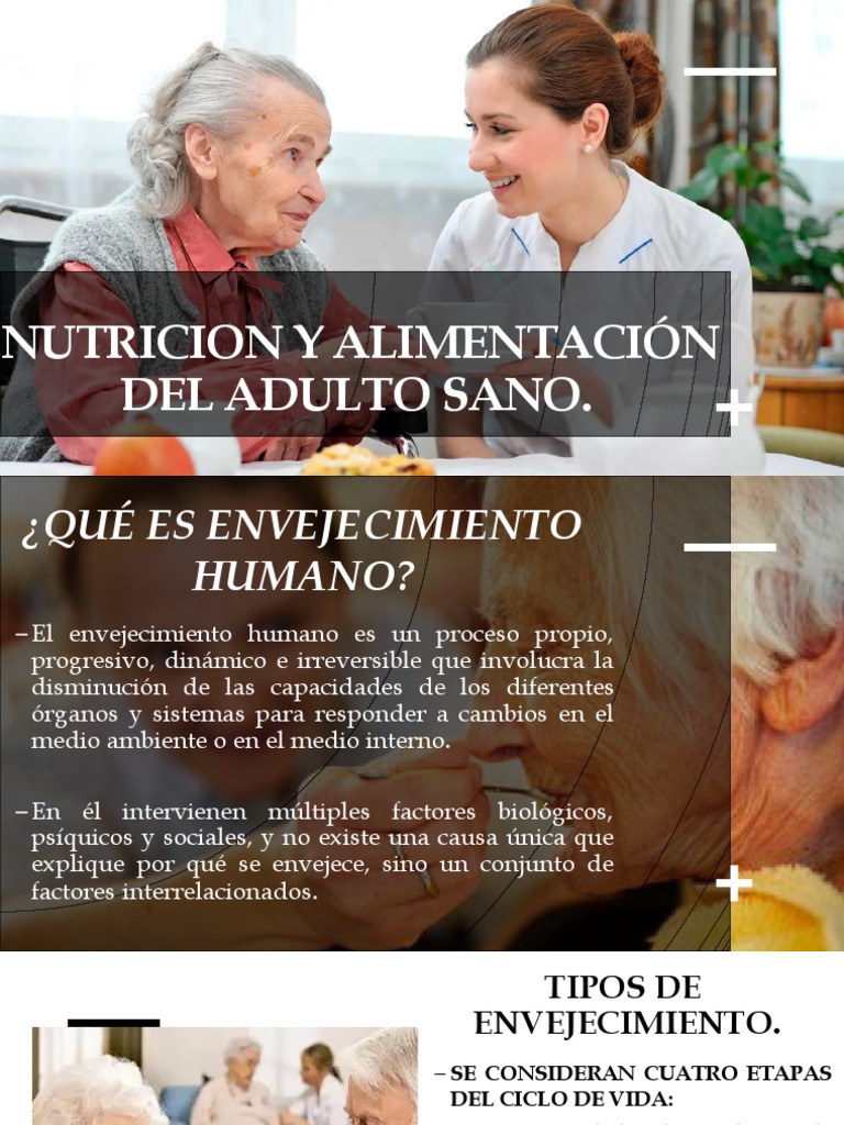 Presentacio1 Nutricion y Alimentacion Del Adulto Mayor | PDF | Tejido ...